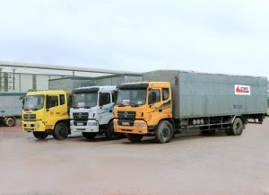 Vận tải và đấu thầu vận tải 2018